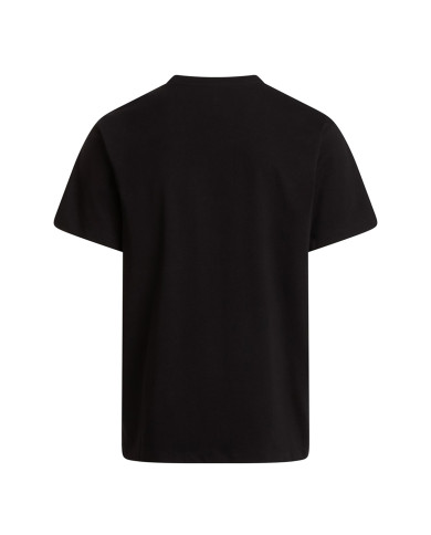 Koszulka męska The North Face M EVO SD REG SS TEE NF0A8CZ2JK3 Czarna - Sklep online Mastersport