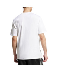 Koszulka męska adidas Originals TREFOIL ESS TEE JI8544 Biała - Sklep online Mastersport