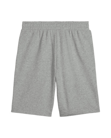 Szorty męskie Puma ESS 2 COLOR LOGO SHORTS 68471503 Szare - Sklep online Mastersport