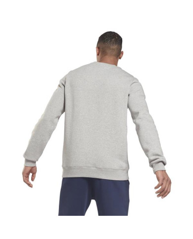 Bluza męska Reebok RI FLC BL CREW GS1619 Szara - Sklep online Mastersport