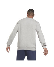 Bluza męska Reebok RI FLC BL CREW GS1619 Szara - Sklep online Mastersport