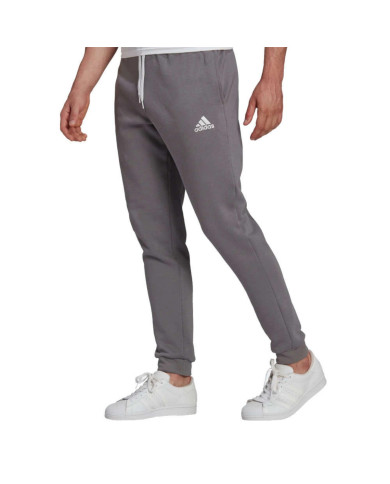 Spodnie męskie adidas Performance ENT22 SW PNT H57531 Szare - Sklep online Mastersport