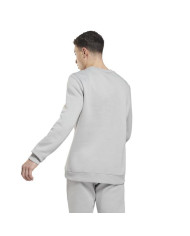 Bluza męska Reebok RI LEFT CHEST LOGO HG4446 Szara - Sklep online Mastersport