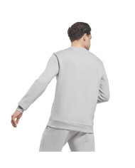 Bluza męska Reebok TE VECTOR CREW HI0588 Szara - Sklep online Mastersport