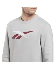 Bluza męska Reebok TE VECTOR CREW HI0588 Szara - Sklep online Mastersport