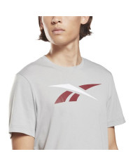 Koszulka męska Reebok TE VECTOR LOGO TEE HI0594 Szara - Sklep online Mastersport