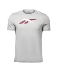Koszulka męska Reebok TE VECTOR LOGO TEE HI0594 Szara - Sklep online Mastersport