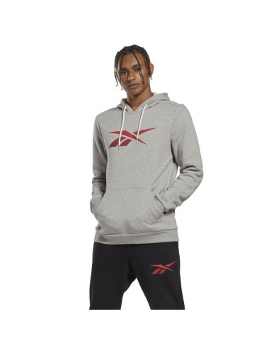 Bluza męska Reebok RI FLEECE HOOD HS0043 Szara - Sklep online Mastersport