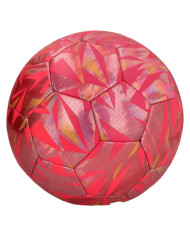 Piłka Puma FINAL GRAPHIC BALL 08422202 Różowa - Sklep online Mastersport