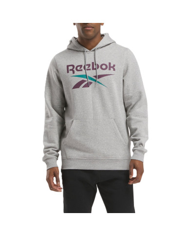 Bluza męska Reebok IDENTITY BIG LOGO FLEECE HOODIE 100206026 Szara - Sklep online Mastersport