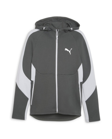 Bluza męska Puma EVOSTRIPE FULL-ZIP HOODIE 67899580 Szara - Sklep online Mastersport