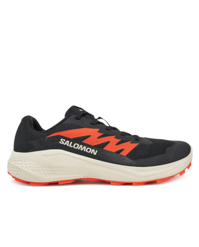 Buty męskie Salomon ALPHAGLIDE L47801100 Czarne - Sklep online Mastersport