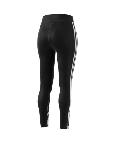 Spodnie damskie adidas Originals W TIGHTS GN3595 Czarne - Sklep online Mastersport