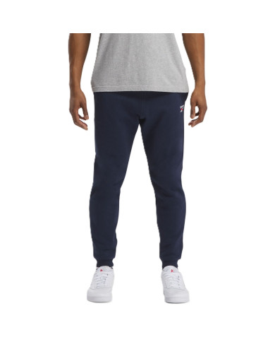 Spodnie męskie Reebok IDENTITY SMALL LOGO FLEECE JOGGER 100202851 Niebieskie - Sklep online Mastersport
