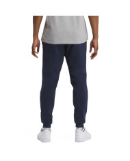 Spodnie męskie Reebok IDENTITY SMALL LOGO FLEECE JOGGER 100202851 Niebieskie - Sklep online Mastersport