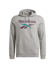 Bluza męska Reebok IDENTITY BIG LOGO FLEECE HOODIE 100206026 Szara - Sklep online Mastersport