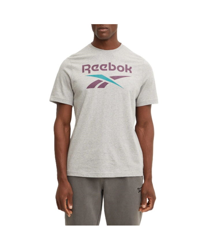 Koszulka męska Reebok IDENTITY BIG LOGO TEE 100206031 Szara - Sklep online Mastersport