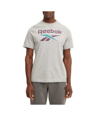 Koszulka męska Reebok IDENTITY BIG LOGO TEE 100206031 Szara - Sklep online Mastersport