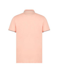 Koszulka męska Champion POLO 217496PS164 Różowa - Sklep online Mastersport