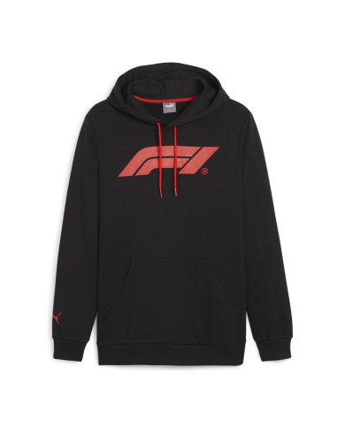 Bluza męska Puma F1 ESS LOGO HOODIE 62585301 Czarna - Sklep online Mastersport