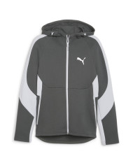 Bluza męska Puma EVOSTRIPE FULL-ZIP HOODIE 67899580 Szara - Sklep online Mastersport