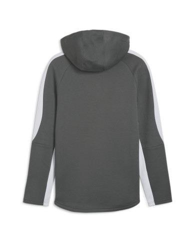 Bluza męska Puma EVOSTRIPE FULL-ZIP HOODIE 67899580 Szara - Sklep online Mastersport