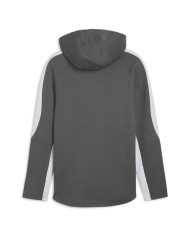 Bluza męska Puma EVOSTRIPE FULL-ZIP HOODIE 67899580 Szara - Sklep online Mastersport