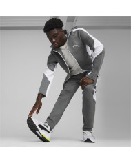Bluza męska Puma EVOSTRIPE FULL-ZIP HOODIE 67899580 Szara - Sklep online Mastersport