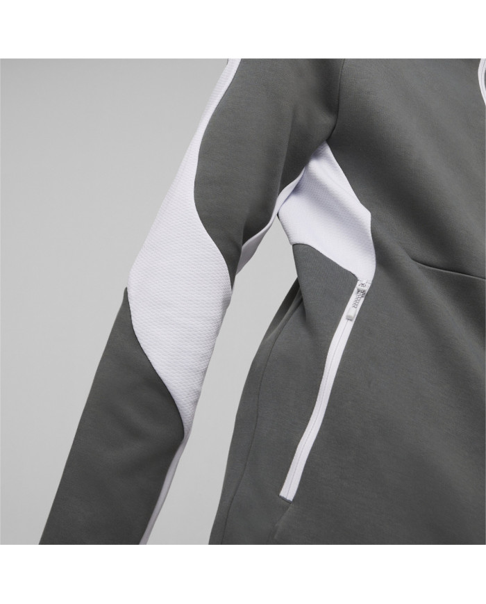 Bluza męska Puma EVOSTRIPE FULL-ZIP HOODIE 67899580 Szara - Sklep online Mastersport