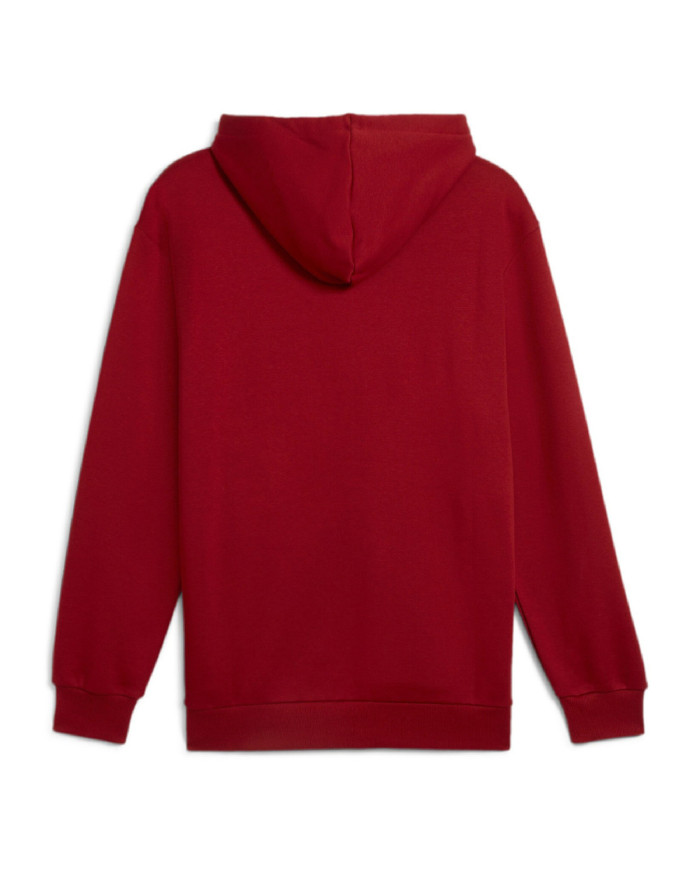 Bluza męska Puma POWER GRAPHIC HOODIE FL 68174113 Czerwona - Sklep online Mastersport