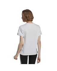 Koszulka damska adidas Originals W T SHIRT ED5844 Biała - Sklep online Mastersport