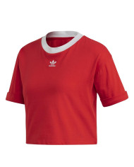 Koszulka damska adidas Originals CROP TOP FM3258 Czerwona - Sklep online Mastersport