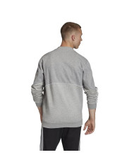 Bluza męska adidas Originals OUTLINE CRW FLC FM3921 Szara - Sklep online Mastersport