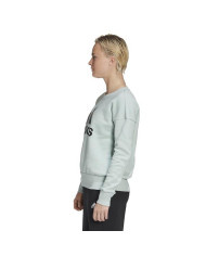 Bluza damska adidas Performance W BOS CREWSWEAT FR5101 Zielona - Sklep online Mastersport