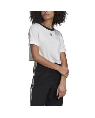 Koszulka damska adidas Originals CROP TOP GD2359 Biała - Sklep online Mastersport