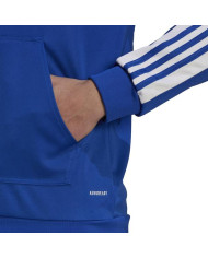 Bluza męska adidas Performance SQ21 HOOD GP6436 Niebieska - Sklep online Mastersport