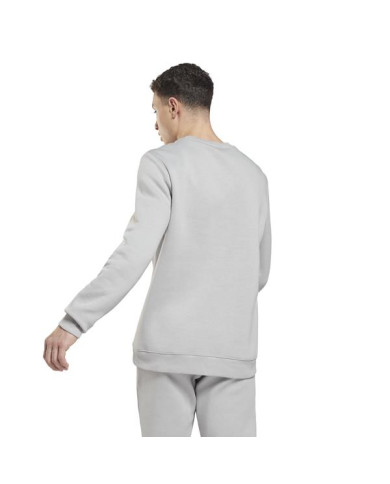 Bluza męska Reebok RI LEFT CHEST LOGO HG4446 Szara - Sklep online Mastersport