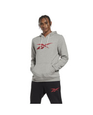 Bluza męska Reebok RI FLEECE HOOD HS0043 Szara - Sklep online Mastersport