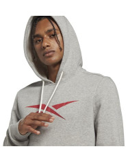 Bluza męska Reebok RI FLEECE HOOD HS0043 Szara - Sklep online Mastersport