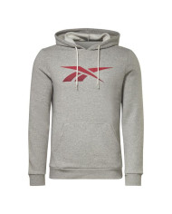 Bluza męska Reebok RI FLEECE HOOD HS0043 Szara - Sklep online Mastersport