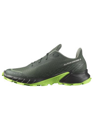 Buty męskie Salomon ALPHACROSS 5 L47311700 Zielone - Sklep online Mastersport