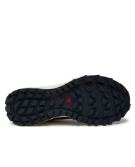 Buty męskie Salomon WANDER L47435900 Beżowe - Sklep online Mastersport