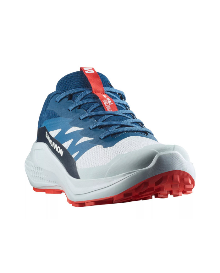Buty męskie Salomon ALPHAGLIDE L47724300 Niebieskie - Sklep online Mastersport