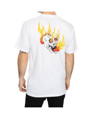 Koszulka męska Vans MN ROWAN ZORILLA SKU VN0A4MQDWHT1 Biała - Sklep online Mastersport