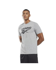 Koszulka męska Reebok GS TRAINING VECTOR HB7259 Szara - Sklep online Mastersport