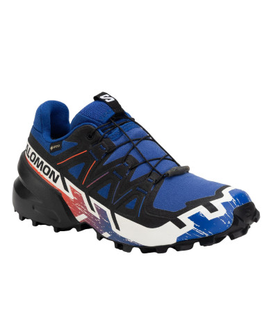 Buty męskie Salomon SPEEDCROSS 6 GTX EQUIPE L47982800 Niebieskie - Sklep online Mastersport