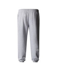 Spodnie męskie The North Face M SD RG TP JOGGER NF0A8C1WDYX Szare - Sklep online Mastersport