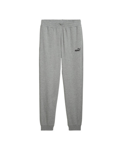 Spodnie męskie Puma ESS LOGO SLIM SWEATPANTS 68264403 Szare - Sklep online Mastersport