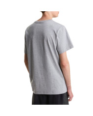 Koszulka męska The North Face M EVO SD REG SS TEE NF0A8CZ2CQO Szara - Sklep online Mastersport