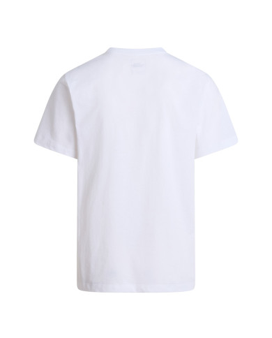 Koszulka męska The North Face M EVO SD REG SS TEE NF0A8CZ2FN4 Biała - Sklep online Mastersport